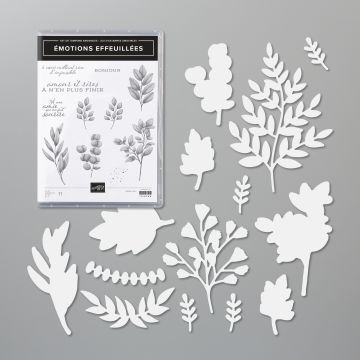 LOT ÉMOTIONS EFFEUILLÉES (FRANÇAIS)