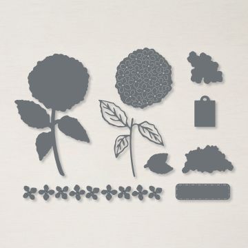 HYDRANGEA DIES