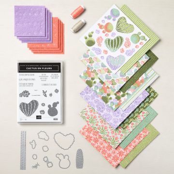 CACTUS EN FLEURS PRODUCT MEDLEY (FRENCH)