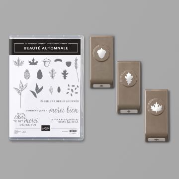 LOT BEAUTÉ AUTOMNALE (FRANÇAIS)