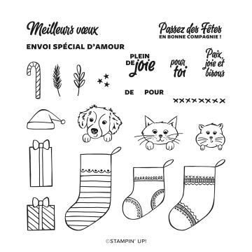 SET DE TAMPONS EN RÉSINE PETITS BAS BIEN GARNIS (FRANÇAIS)