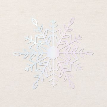 WONDERFUL SNOWFLAKES