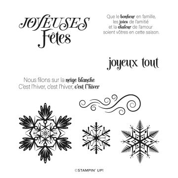 SET DE TAMPONS EN RÉSINE JOYEUX FLOCONS (FRANÇAIS)