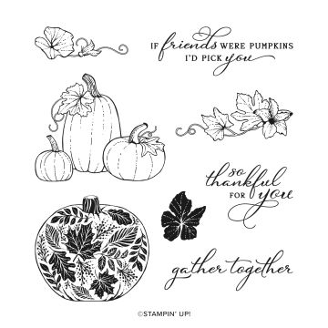 SET DE TAMPONS AMOVIBLES PRETTY PUMPKINS