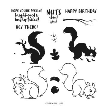 NUTS ABOUT SQUIRRELS PHOTOPOLYMER STAMP SET