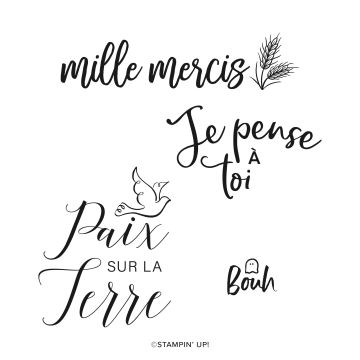 SET DE TAMPONS AMOVIBLES PAIX ET RECONNAISSANCE (FRANÇAIS)