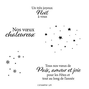 KIT DE CARTES FANTAISIE DE NOËL (FRANÇAIS)