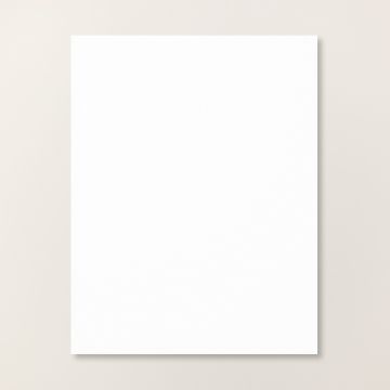 100 sheets 8.5 x 11 (110 lb) white card stock paper