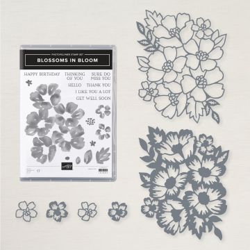 BLOSSOMS IN BLOOM-PRODUCTPAKKET (ENGELS)