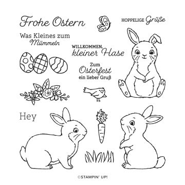 FOTOPOLYMEERSTEMPELSET OSTERHASE (DUITS)