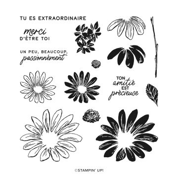 SET DE TAMPONS EN RÉSINE MARGUERITES ENJOUÉES (FRANÇAIS)