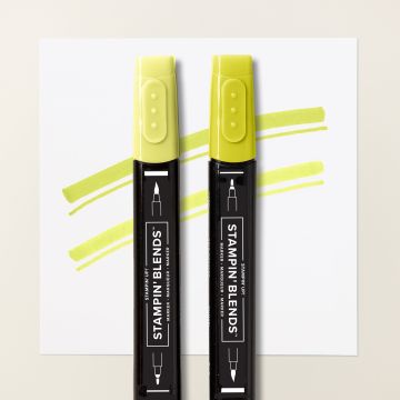 DUO DE MARQUEURS STAMPIN’ BLENDS LIMONADE À LA LIMETTE