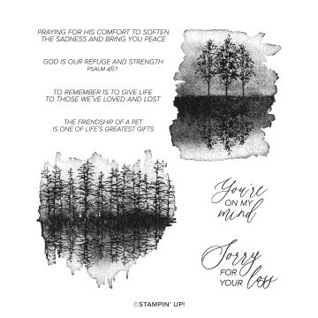 Stampin' Up! Quiet Reflection Stamp set – Terry Lynn Bright, Stampin' Up!  Demonstrator