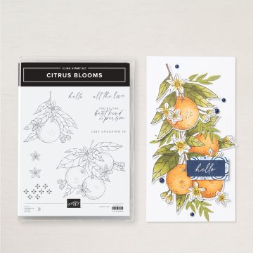 CLINGSTEMPELSET CITRUS BLOOMS (ENGELS)