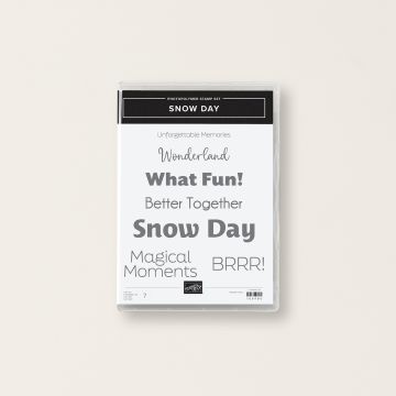 SET DE TAMPONS EN RÉSINE SNOW DAY (ANGLAIS)