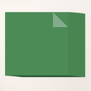 TWEEKLEURIG KAARTKARTON 12" X 12" (30,5 X 30,5 CM) - GARDEN GREEN