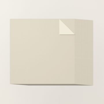 BASIC BEIGE 12" X 12" (30.5 X 30.5 CM) TWO-TONE CARDSTOCK
