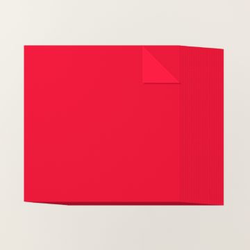 POPPY PARADE 12" X 12" (30.5 X 30.5 CM) TWO-TONE CARDSTOCK
