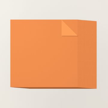 TIMID TIGER 12" X 12" (30.5 X 30.5 CM) TWO-TONE CARDSTOCK