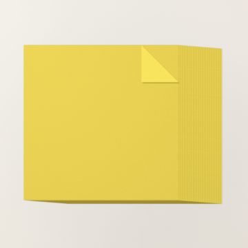 DARLING DUCKLING 12" X 12" (30.5 X 30.5 CM) TWO-TONE CARDSTOCK