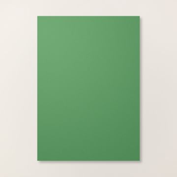 PAPIER CARTONNÉ A4 VERT JARDIN