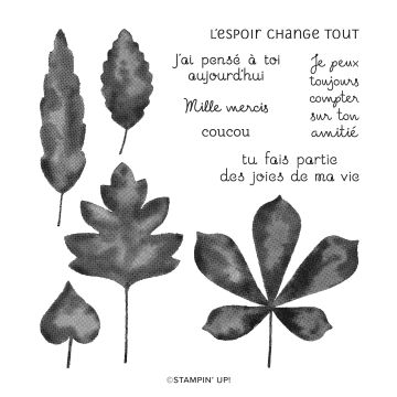BOUQUETS DE FEUILLES PHOTOPOLYMER STAMP SET (FRENCH)