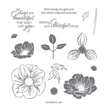 STEMPELSET KLARSICHT FLORAL ESSENCE (ENGLISCH)