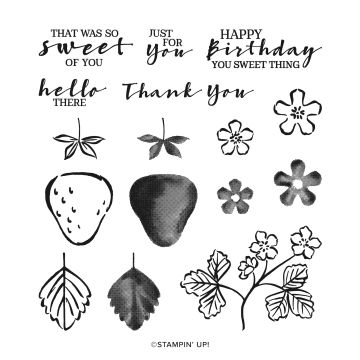 SWEET STRAWBERRY PHOTOPOLYMER STAMP SET