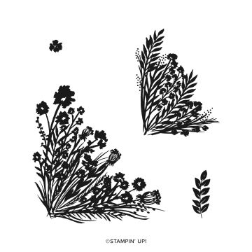 SET DE TAMPONS AMOVIBLES CORNER BOUQUET