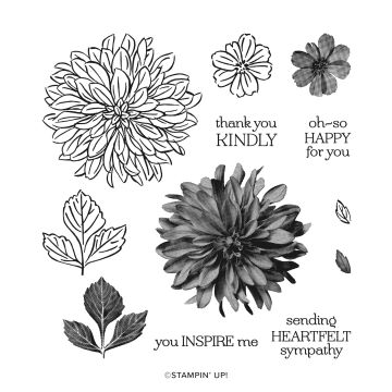 DELICATE DAHLIAS PHOTOPOLYMER STAMP SET (ENGLISH)