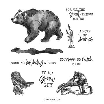 WILDLIFE WONDER CLING STAMP SET (ENGLISH)