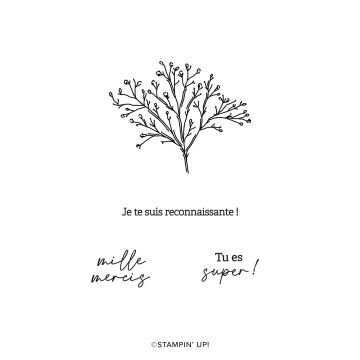 KIT JARDIN DE GRATITUDE (FRANÇAIS)