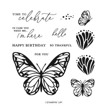 BEAUTIFUL BUTTERFLIES BUNDLE (ENGLISH)