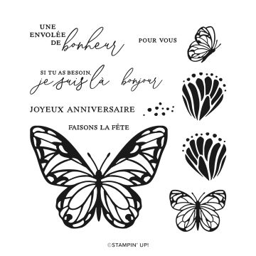 LOT PAPILLONS SUPERBES (FRANÇAIS)