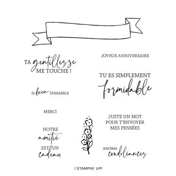 ÉTIQUETTES VARIÉES CLING STAMP SET (FRENCH)