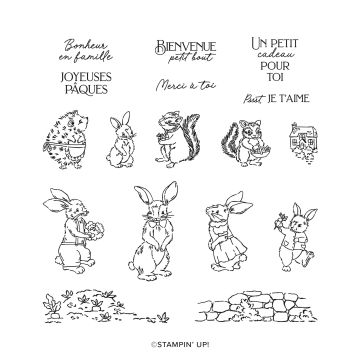 LOT COMPTINE ENFANTINE (FRANÇAIS)