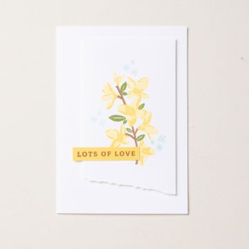 CHARMANTS SOUHAITS PHOTOPOLYMER STAMP SET (FRENCH)