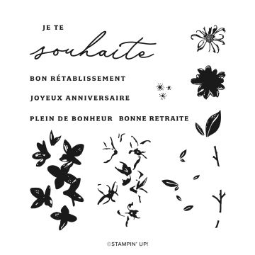 CHARMANTS SOUHAITS BUNDLE (FRENCH)