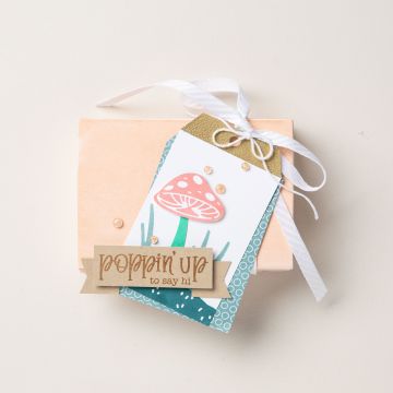 TERRIFIC TOADSTOOLS BUNDLE (ENGLISH)