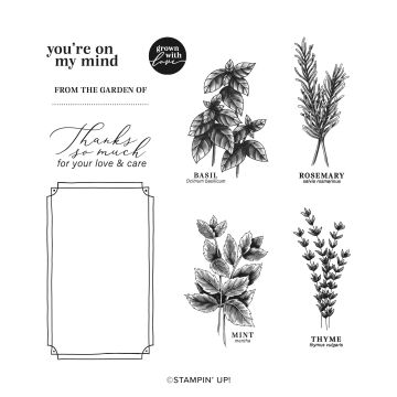 LOT GROW WITH LOVE (ANGLAIS)