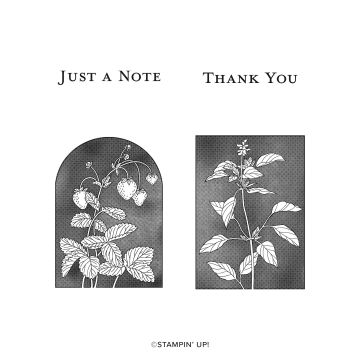 SHADOWED SHAPES CLING STAMP SET (ENGLISH)