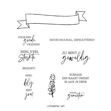 CLINGSTEMPELSET GEMENGDE ETIKETTEN (NEDERLANDS)