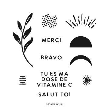 AMBIANCE ESTIVALE PHOTOPOLYMER STAMP SET (FRENCH)