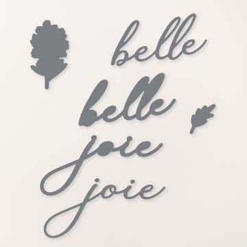 LOT BELLE JOIE (FRANÇAIS)