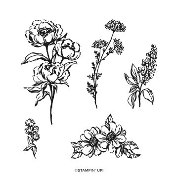 GALLERY BLOOMS bundle