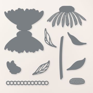 LOT CONEFLOWER CELEBRATION (ANGLAIS)