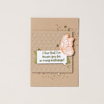 LOT CONEFLOWER CELEBRATION (ANGLAIS)
