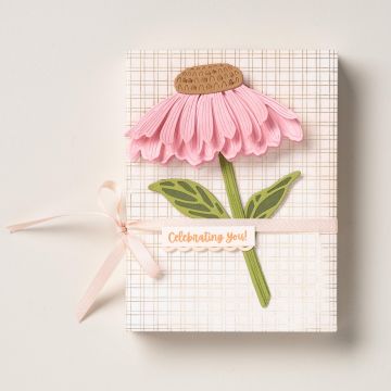 PRODUKTPAKET SONNENHUT (DEUTSCH)