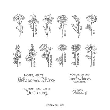 JAHR VOLLER BLUMEN BUNDLE (GERMAN)