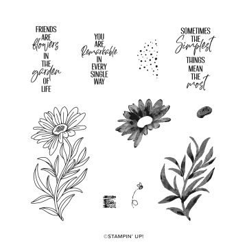 YOU ARE REMARKABLE PHOTOPOLYMER STAMP SET (ENGLISH)